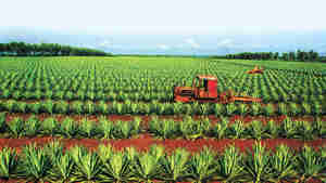 r(nng)ĸԳ֡롱Ŀr(nng)һwwơ_Otֵ4r(nng)ƽMr(nng)˾ĸ