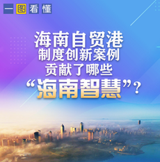 海南自貿(mào)港制度創(chuàng)新案例貢獻(xiàn)了哪些“海南智慧”？一圖看懂