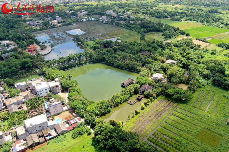 澄邁縣金江鎮(zhèn)塘口村水韻田園休閑農(nóng)莊鄉(xiāng)村旅游點(diǎn)。 人民網(wǎng) 孟凡盛攝