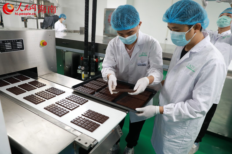 在加綠巧食品制造業(yè)（海南）有限責(zé)任公司，工作人員將制作好的巧克力整理出盤。 人民網(wǎng) 孟凡盛攝