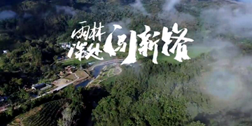 五指山毛納村：黎家村寨日子美依山傍水，滿眼蒼翠。茶香四溢，令人沉醉。這里是海南省五指山市水滿鄉(xiāng)毛納村，一個遠(yuǎn)離喧囂的黎族村莊。近年來毛納村圍繞“全域旅游示范村”建設(shè)目標(biāo)，以美麗鄉(xiāng)村建設(shè)為抓手，以黎族文化和熱帶風(fēng)情為主題，大力發(fā)展鄉(xiāng)村旅游業(yè)，村民的日子越過越紅火?！驹敿?xì)】
