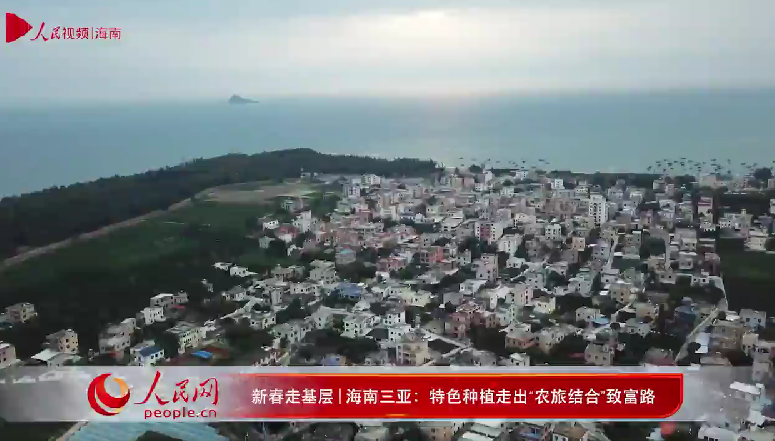 三亞梅西村：特色種植走出“農(nóng)旅結合”致富路