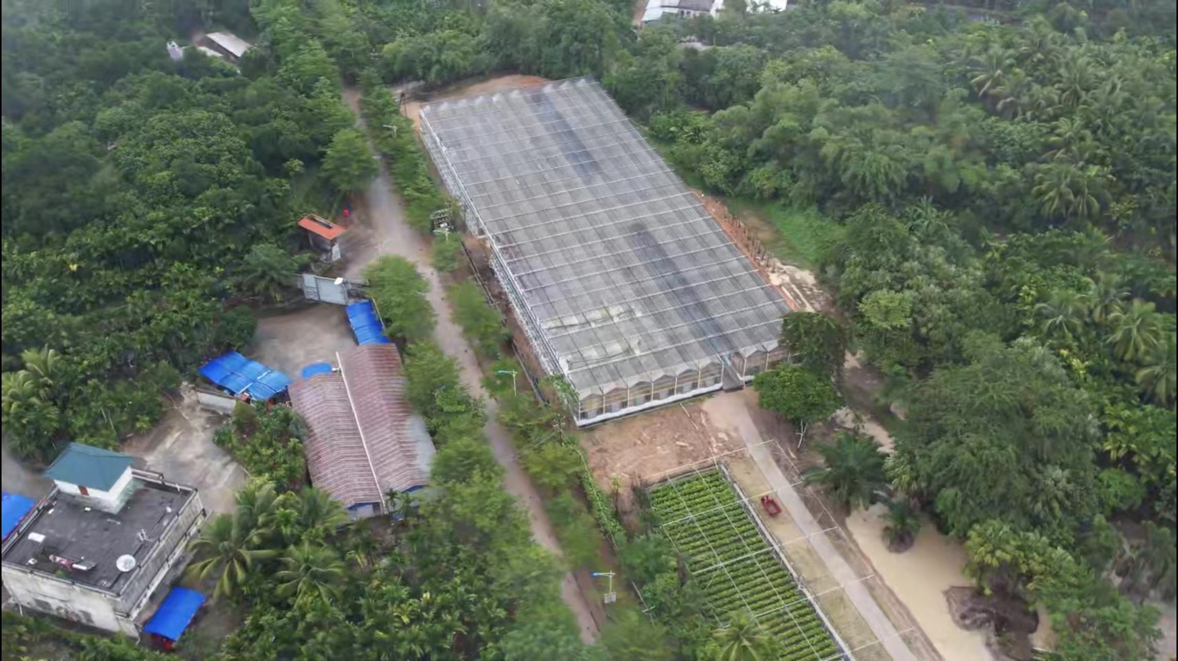 建設中的七仙嶺全球熱帶水果博覽中心（局部）。