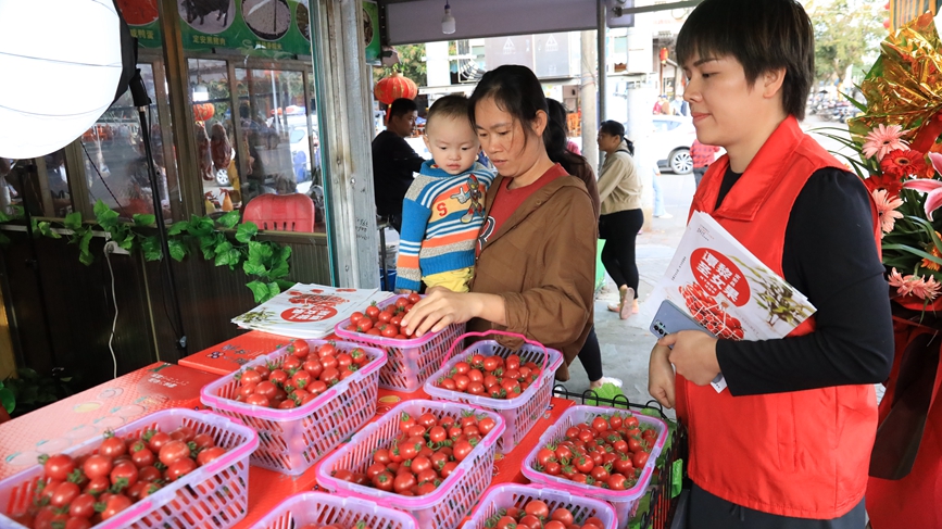 市民選購圣女果。胡雄飛攝