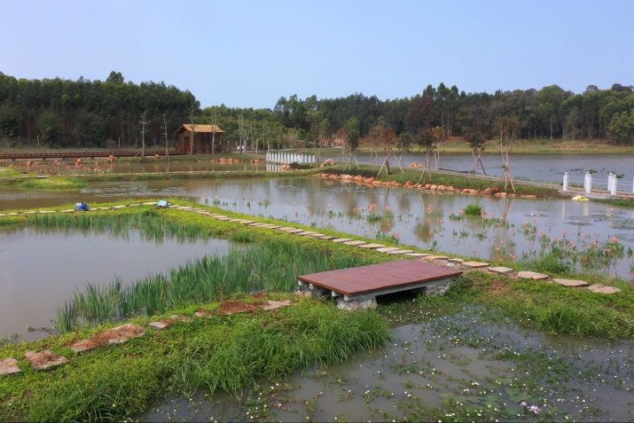 多福生態(tài)清潔小流域打造美麗鄉(xiāng)村。
