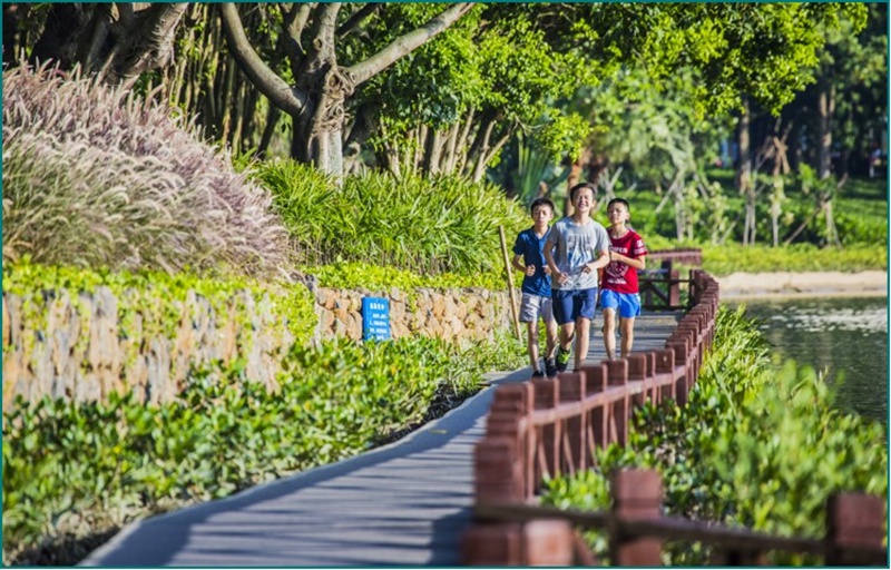 小朋友在鳳翔濕地公園游玩。海南省水務(wù)廳供圖