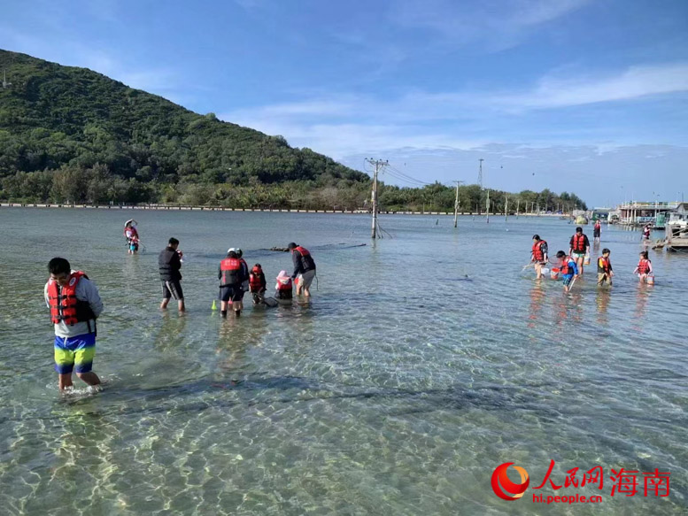游客在退潮時(shí)分趕海。受訪(fǎng)者供圖