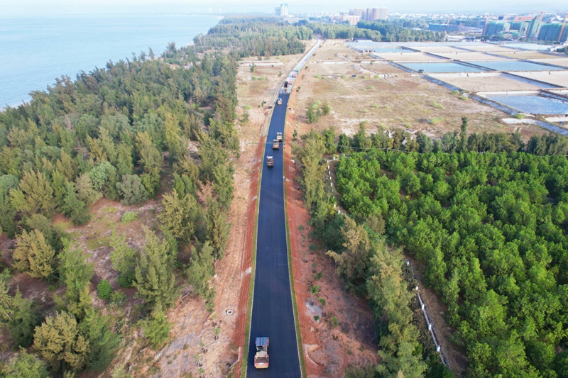 海南環(huán)島旅游公路東方段路面瀝青攤鋪施工現(xiàn)場(chǎng)。 海南省交通投資控股有限公司供圖