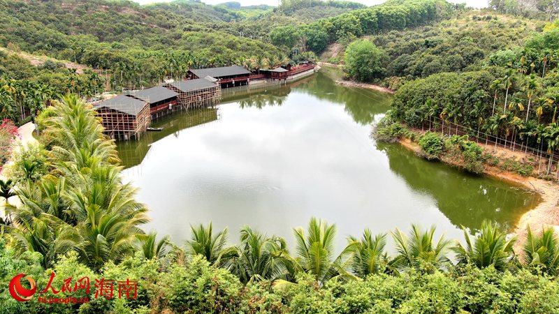 保亭正在探索農(nóng)旅融合發(fā)展新路徑。人民網(wǎng) 符武平攝