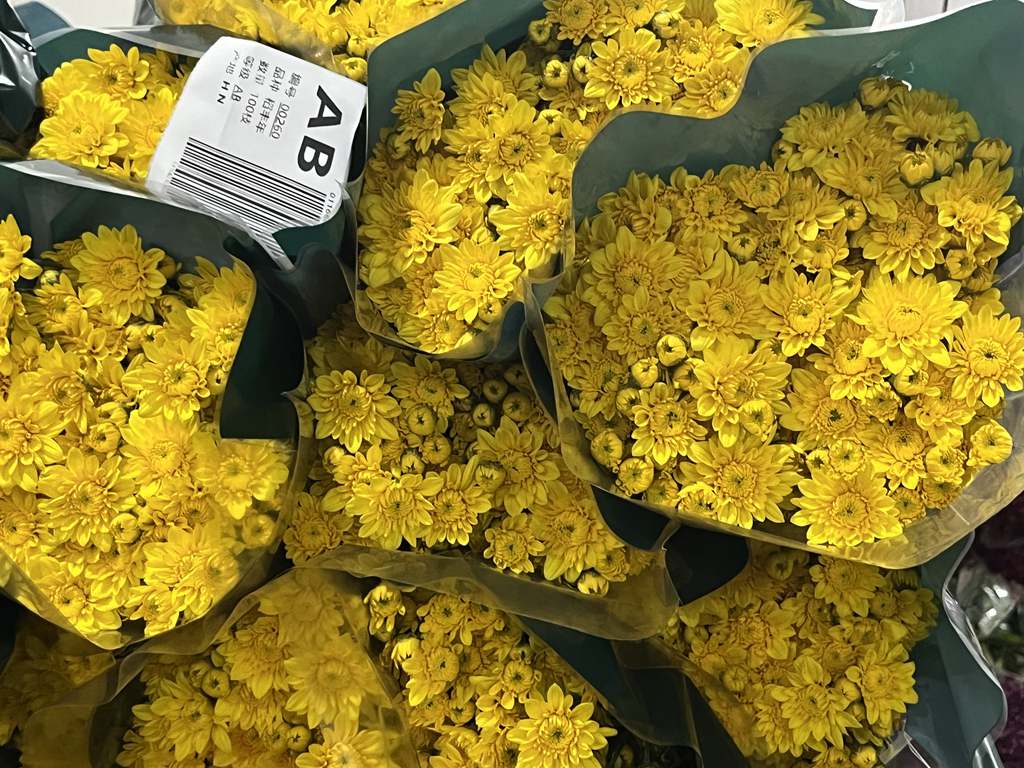分揀包裝好的菊花產(chǎn)品。李才智攝