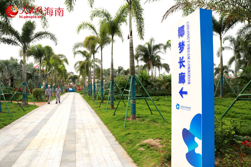 椰夢長廊。 人民網(wǎng) 孟凡盛攝