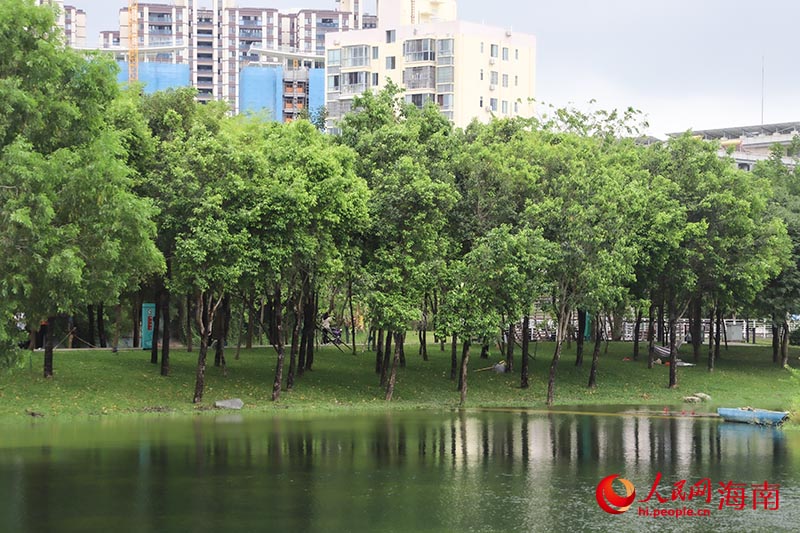 如今的抱坡溪，水清岸綠。人民網(wǎng) 牛良玉攝
