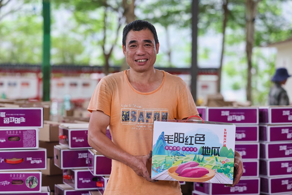 毛陽紅色地瓜。張江英攝