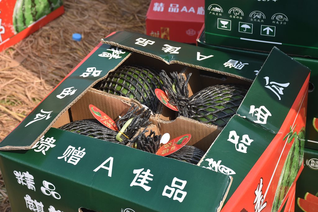 西瓜產(chǎn)品。宋艷菲攝