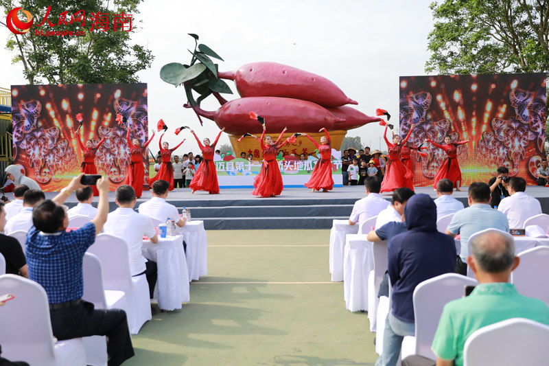 澄邁第十一屆橋頭地瓜文化節(jié)活動現(xiàn)場。 人民網(wǎng) 孟凡盛攝