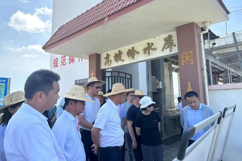 調(diào)研現(xiàn)場。海南省治水辦供圖