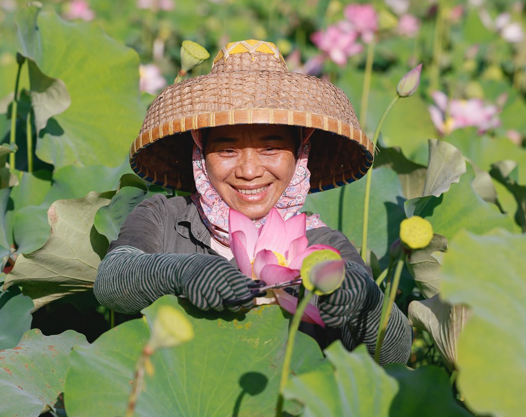 豐收的喜悅洋溢在臉上。張江英攝