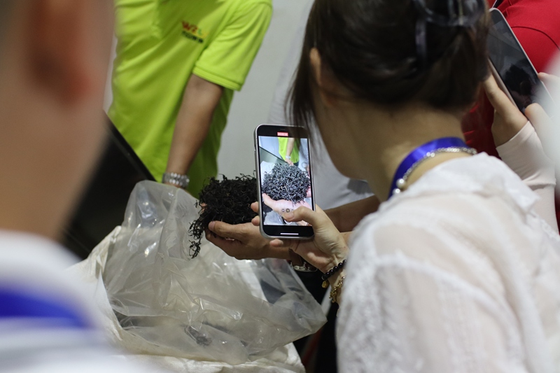 媒體記者參觀灣嶺茶廠。 主辦方供圖