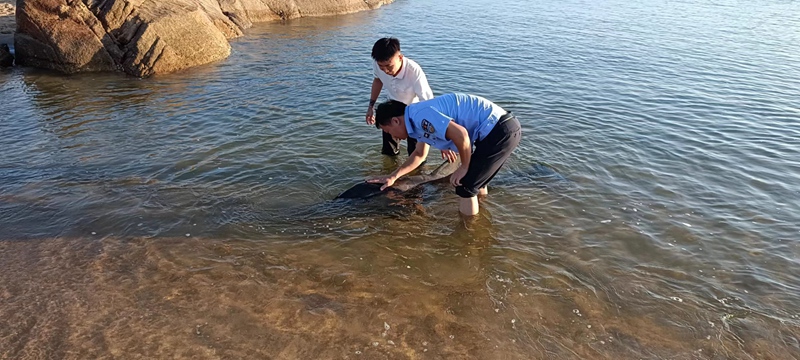 海豚第一次擱淺，民警到場(chǎng)救助。警方提供