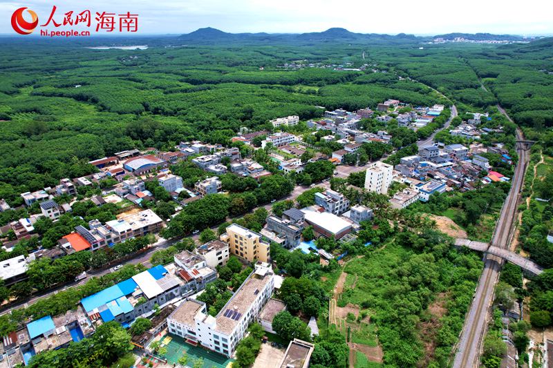 儋州市雅星鎮(zhèn)。 人民網(wǎng)記者 孟凡盛攝