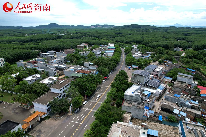 儋州市雅星鎮(zhèn)。 人民網(wǎng)記者 孟凡盛攝