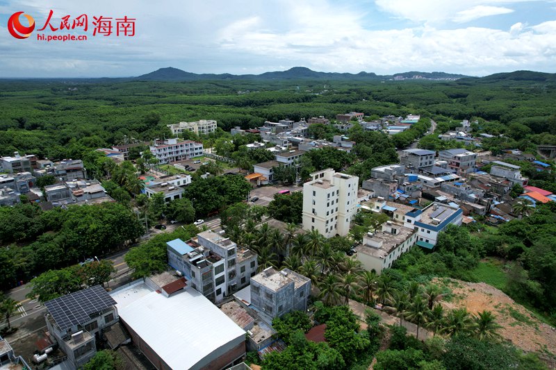 儋州市雅星鎮(zhèn)。 人民網(wǎng)記者 孟凡盛攝