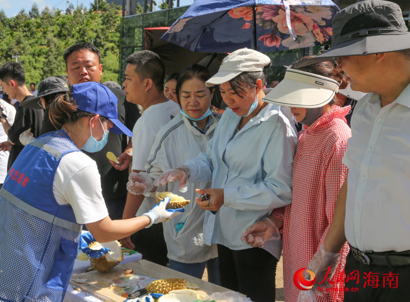 市民現(xiàn)場(chǎng)品嘗國產(chǎn)“樹上熟”榴蓮。人民網(wǎng) 牛良玉攝
