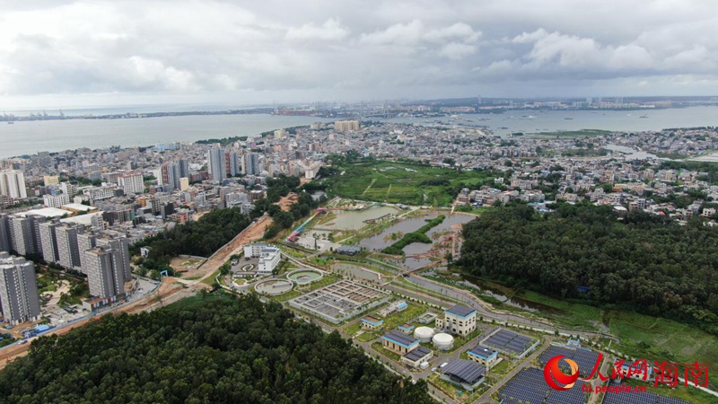 俯瞰儋州藤根河濕地公園。符武平攝
