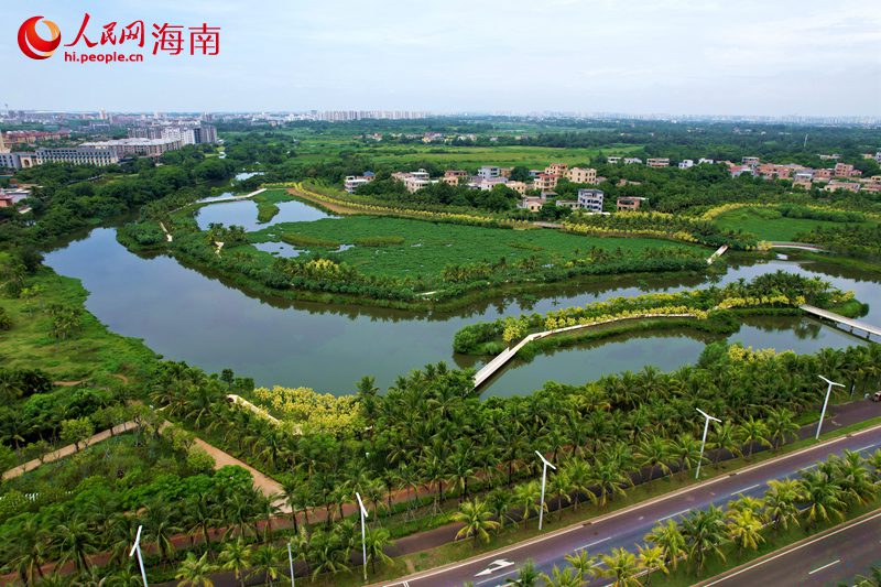 位于?？谑薪瓥|新區(qū)的芙蓉河濕地公園。 人民網(wǎng)記者 孟凡盛攝
