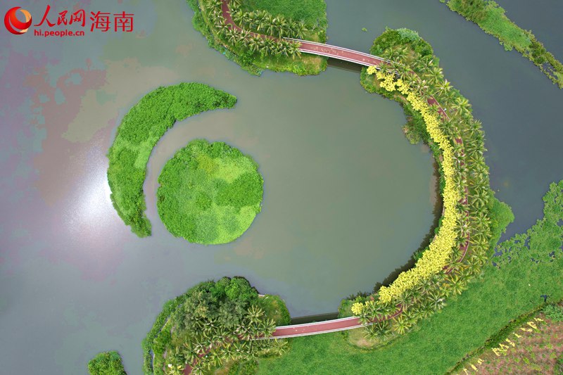 位于?？谑薪瓥|新區(qū)的芙蓉河濕地公園一角。 人民網(wǎng)記者 孟凡盛攝