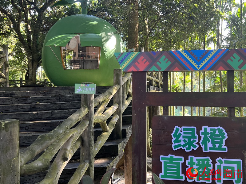 造型新穎的綠橙直播間。人民網(wǎng)記者李學(xué)山攝