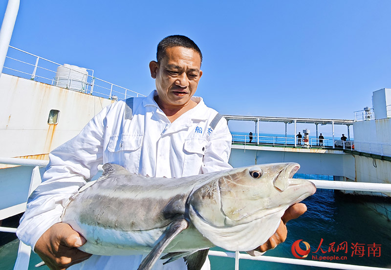 工作人員向記者展示剛出水的軍曹魚。人民網(wǎng)記者 牛良玉攝