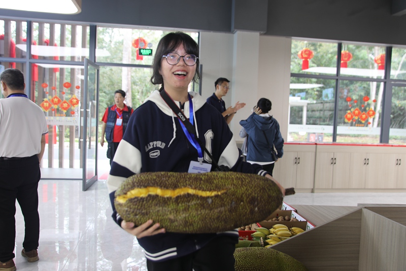 采訪團成員在七仙嶺果博中心內(nèi)為菠蘿蜜“稱重”。陳期財攝