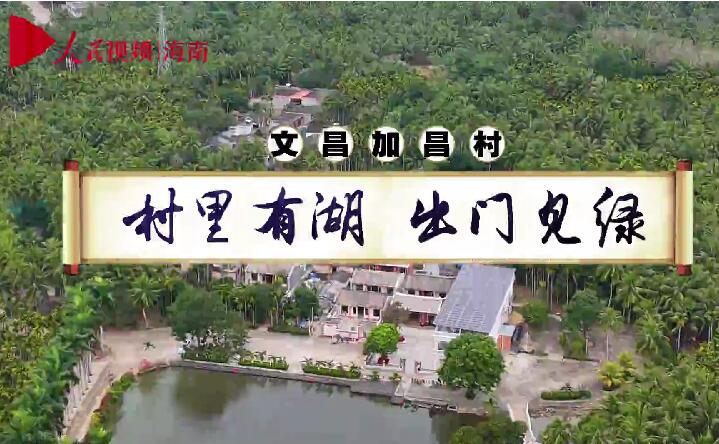 文昌加昌村：村里有湖 出門(mén)見(jiàn)綠