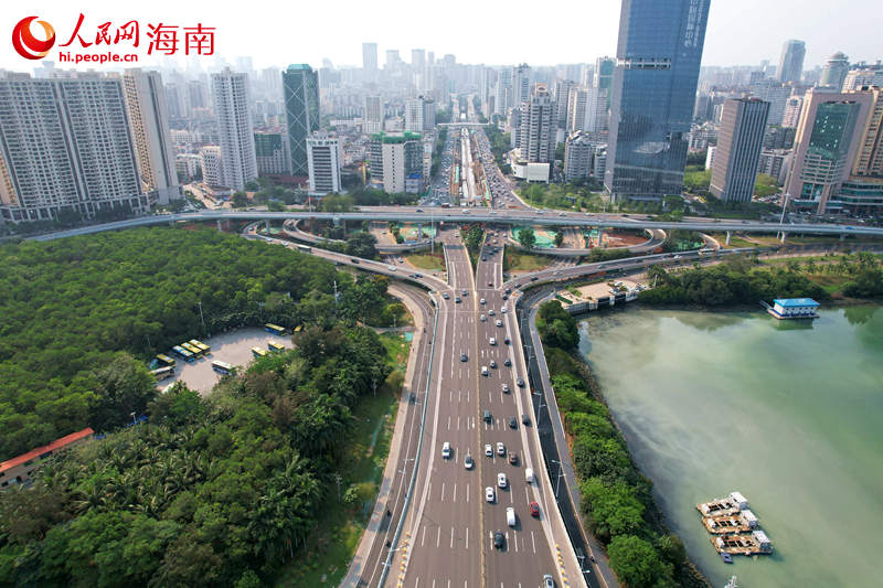 濱海立交全景。 人民網(wǎng)記者 孟凡盛攝