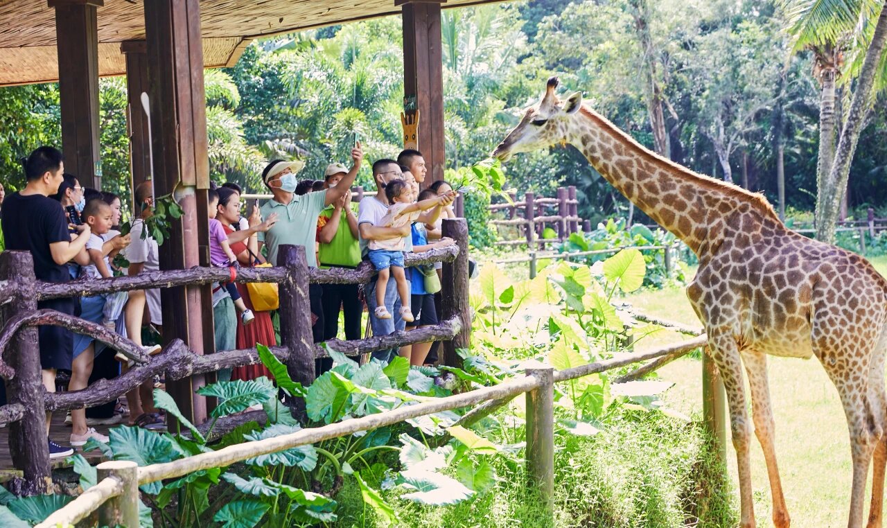 動物園里人氣王。海口旅文局供圖
