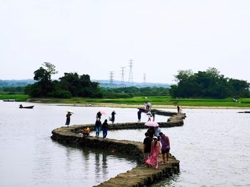 打卡蛇橋。