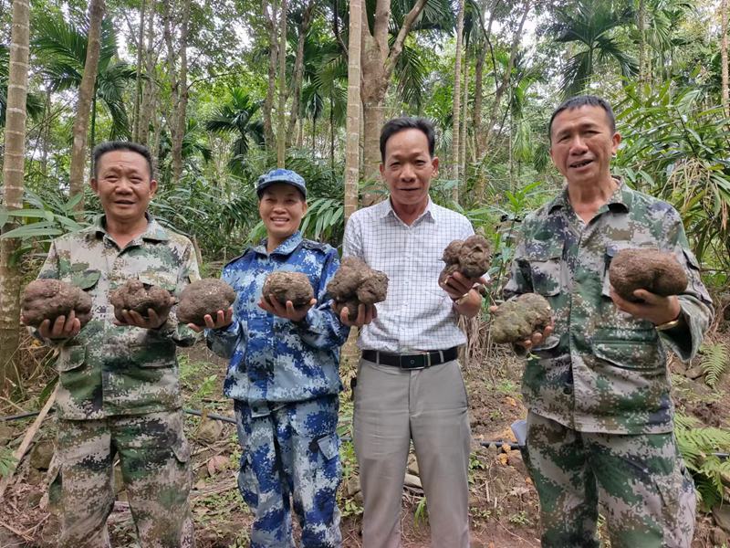 村民在種植基地里收獲猴頭菇。李俊杰供圖