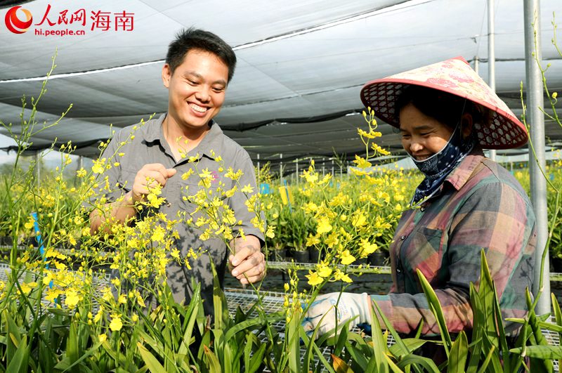蘭花盛開，農(nóng)民的幸福寫在臉上。人民網(wǎng)記者 符武平攝