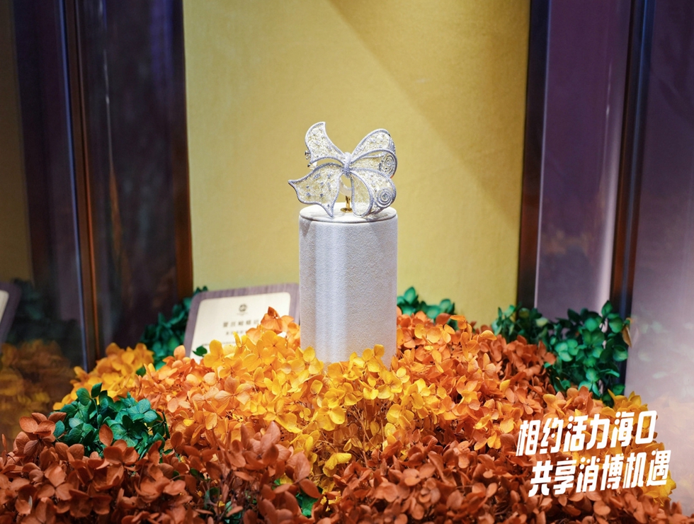 相約活力?？?共享消博機遇！“網(wǎng)絡(luò)大V看消博”系列活動拉開帷幕