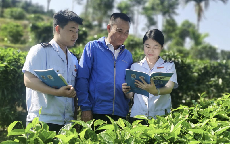 圖說(shuō)：稅務(wù)干部深入茶園了解茶葉長(zhǎng)勢(shì)和采摘情況，并為合作社送來(lái)稅費(fèi)優(yōu)惠政策和業(yè)務(wù)操作指引。王琳攝