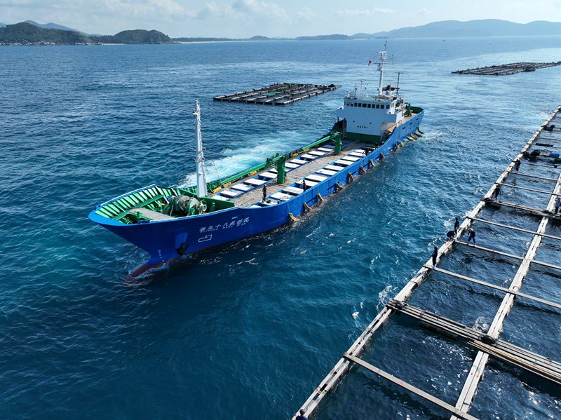 日本船舶靠泊裝運(yùn)魚苗。符開(kāi)雄攝