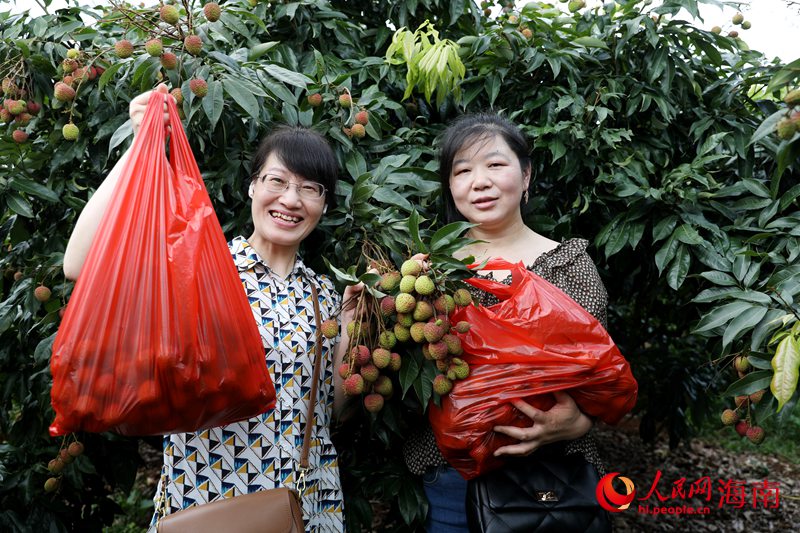 中國郵政郵樂平臺的金牌店主在果園里體驗采摘樂趣。人民網(wǎng)記者 符武平攝