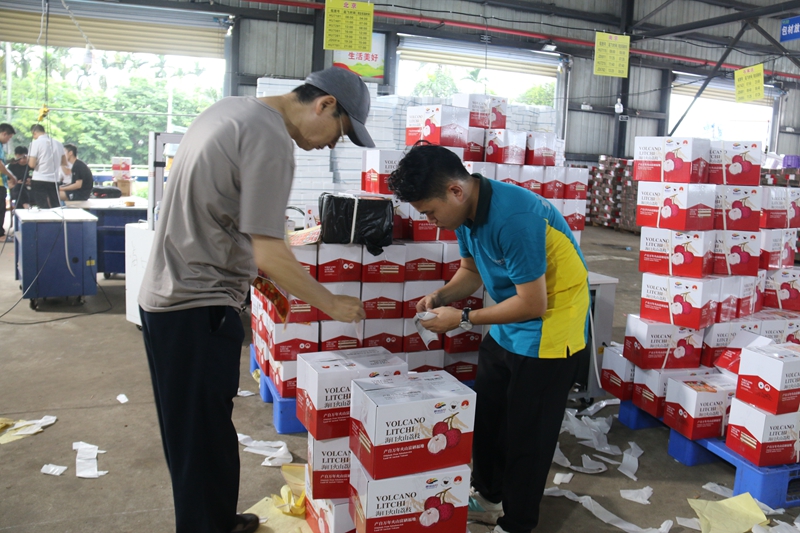 郵政速遞工作人員在收寄荔枝快遞郵件。?？谑朽]政管理局供圖