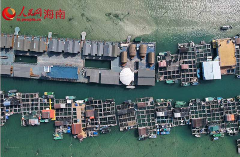 陵水疍家海上漁排民宿。人民網(wǎng)記者 孟凡盛攝
