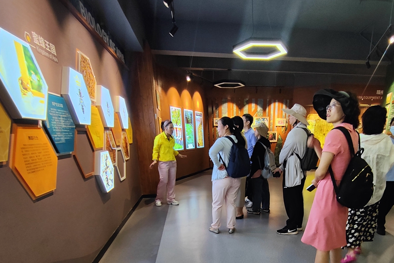 自媒體達人參觀蜜蜂科普教育基地。符少麗攝