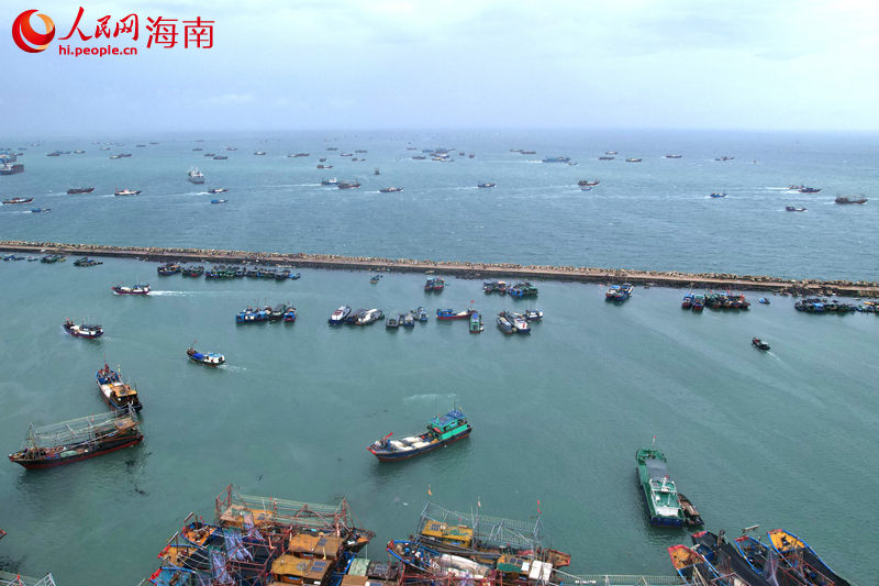五百余艘漁船駛向大海，開啟捕魚之旅。人民網(wǎng)記者 孟凡盛