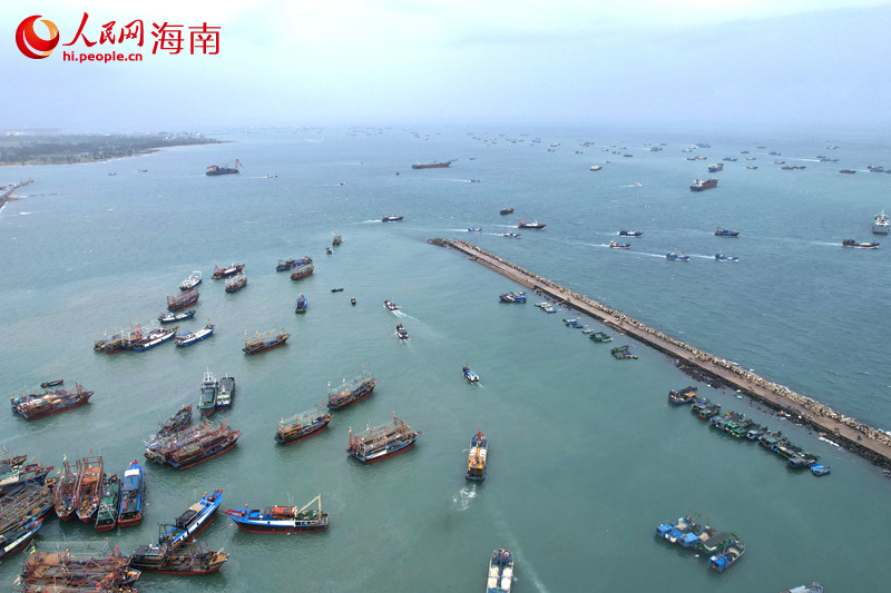 五百余艘漁船駛向大海，開啟捕魚之旅。人民網(wǎng)記者 孟凡盛攝