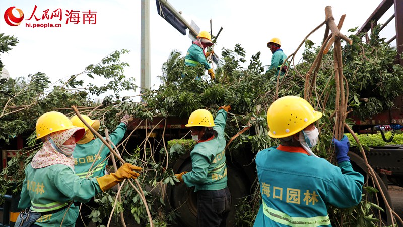 ?？趫@林工人在清理災(zāi)害現(xiàn)場(chǎng)。人民網(wǎng)記者 符武平攝