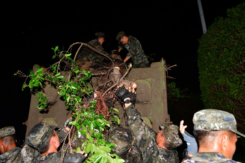 在災(zāi)后重建工作中，武警?？谥ш?duì)官兵往貨車上裝載斷木。何應(yīng)騰攝